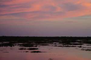 brazoria nwr texas