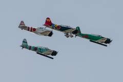 Wings over Houston Airshow