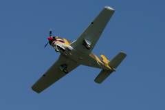 Wings over Houston Airshow