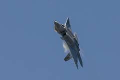 Wings over Houston Airshow