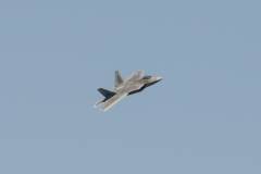 Wings over Houston Airshow