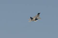 Wings over Houston Airshow