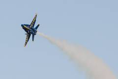 Wings over Houston Airshow