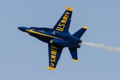 Wings over Houston Airshow