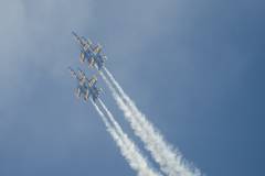 Wings over Houston Airshow