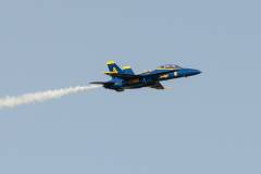 Wings over Houston Airshow