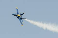 Wings over Houston Airshow
