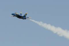 Wings over Houston Airshow