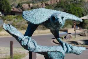 Big Bend Photos