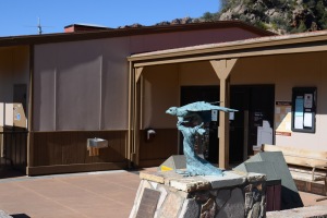 Big Bend Photos