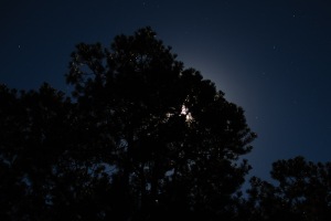 Big Bend Photos