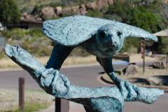 Big Bend Photos