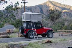 Trip Report - Big Bend