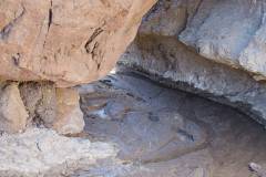 Trip Report - Big Bend