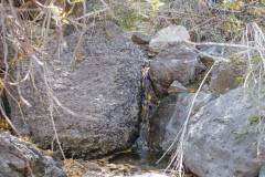 Trip Report - Big Bend