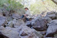Trip Report - Big Bend