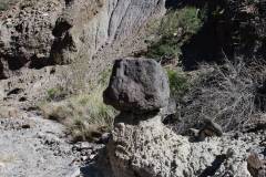 Trip Report - Big Bend