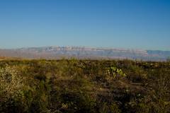 Trip Report - Big Bend