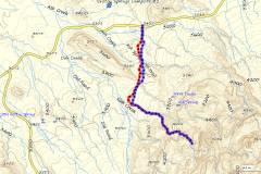Trip Report - Big Bend