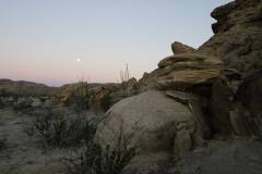 big bend national park