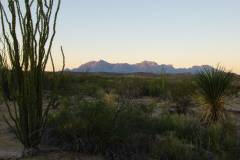 big bend national park