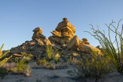 big bend national park