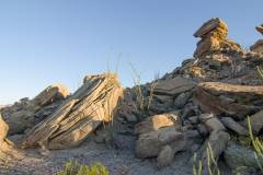 big bend national park