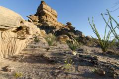 big bend national park
