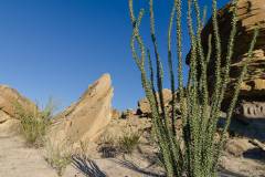 big bend national park