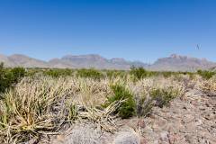 big bend national park