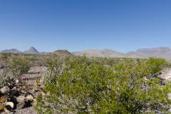 big bend national park
