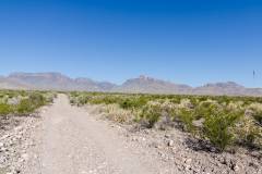 big bend national park