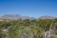 big bend national park