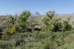 big bend national park