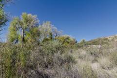 big bend national park