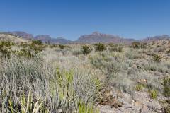 big bend national park