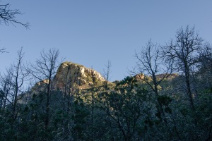 D7K_2847