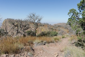 Big Bend Photos