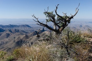 Big Bend Photos
