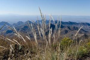 Big Bend Photos