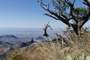 Big Bend Photos