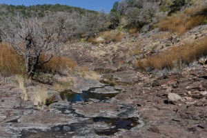 Big Bend Photos