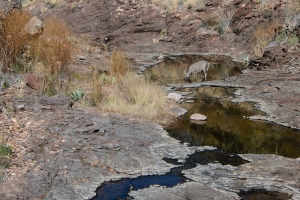 Big Bend Photos