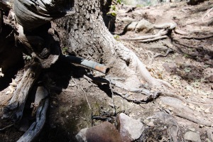 Big Bend Photos