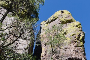 Big Bend Photos