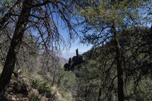Big Bend Photos