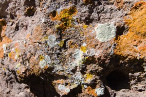 Big Bend Photos