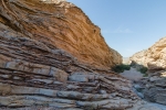 Big Bend Photos
