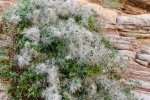 Big Bend Photos