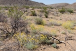 Big Bend Photos